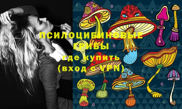 мдпв Новокубанск